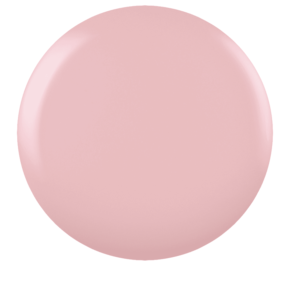 CND Nude Knickers Haar Shop Ch