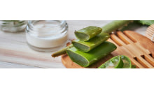 creme auf tisch mit geschnittenen aloe vera blaetter