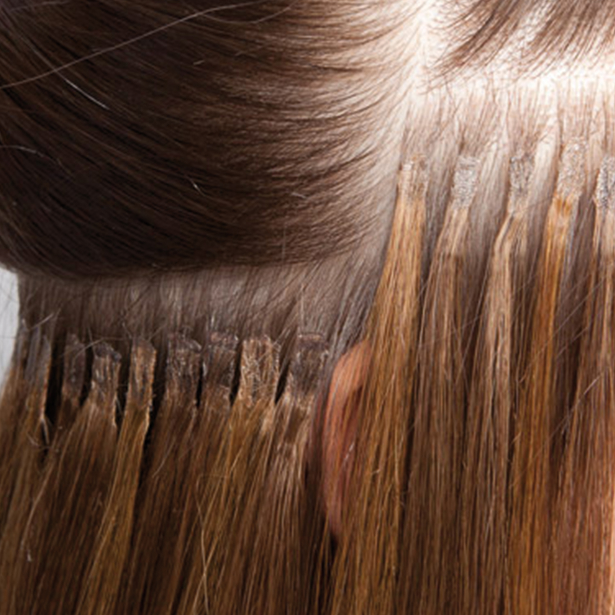 Seiseta - Keratin Hair Extensions - Meches: 4/14 - haar-shop.ch