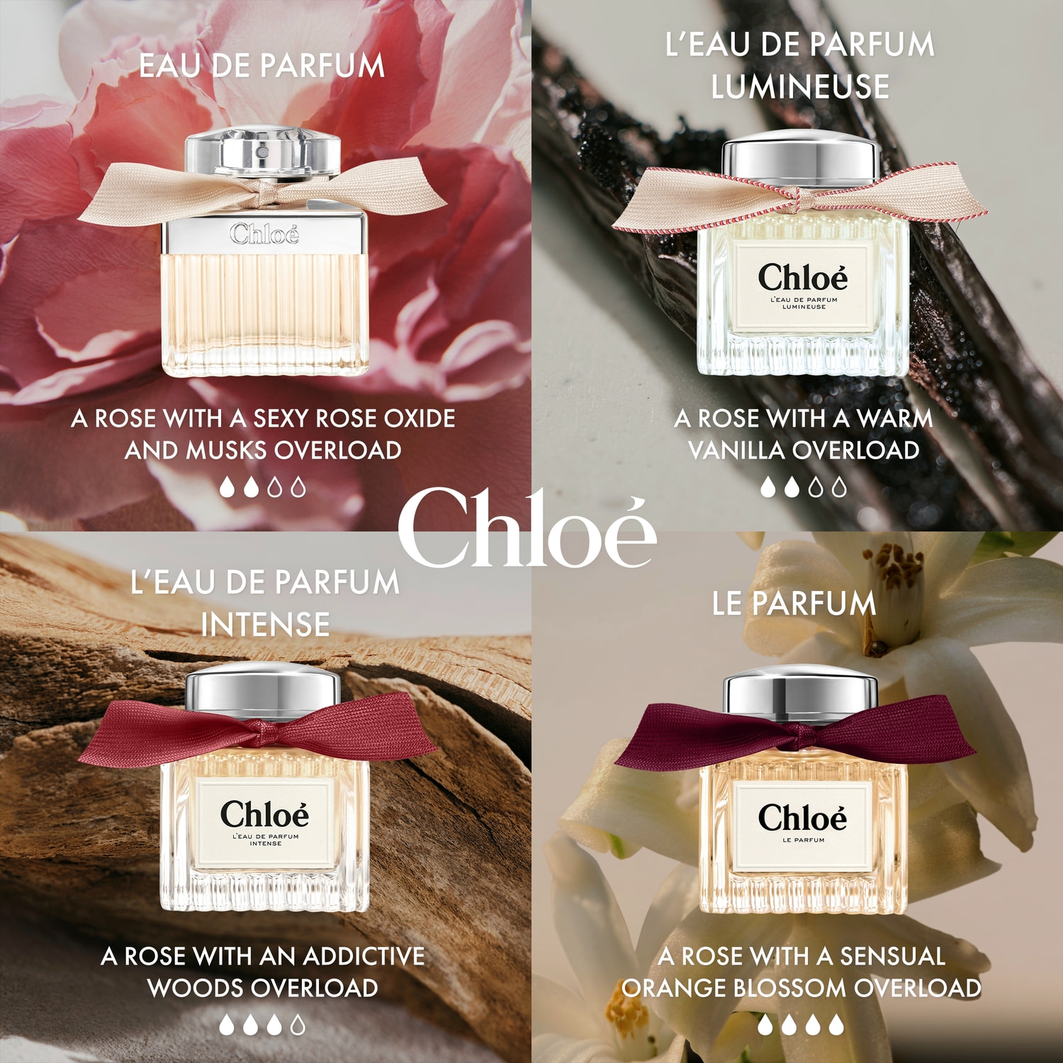 Intense Eau de Parfum • Chloé • Floral Fragrance for Women • haar