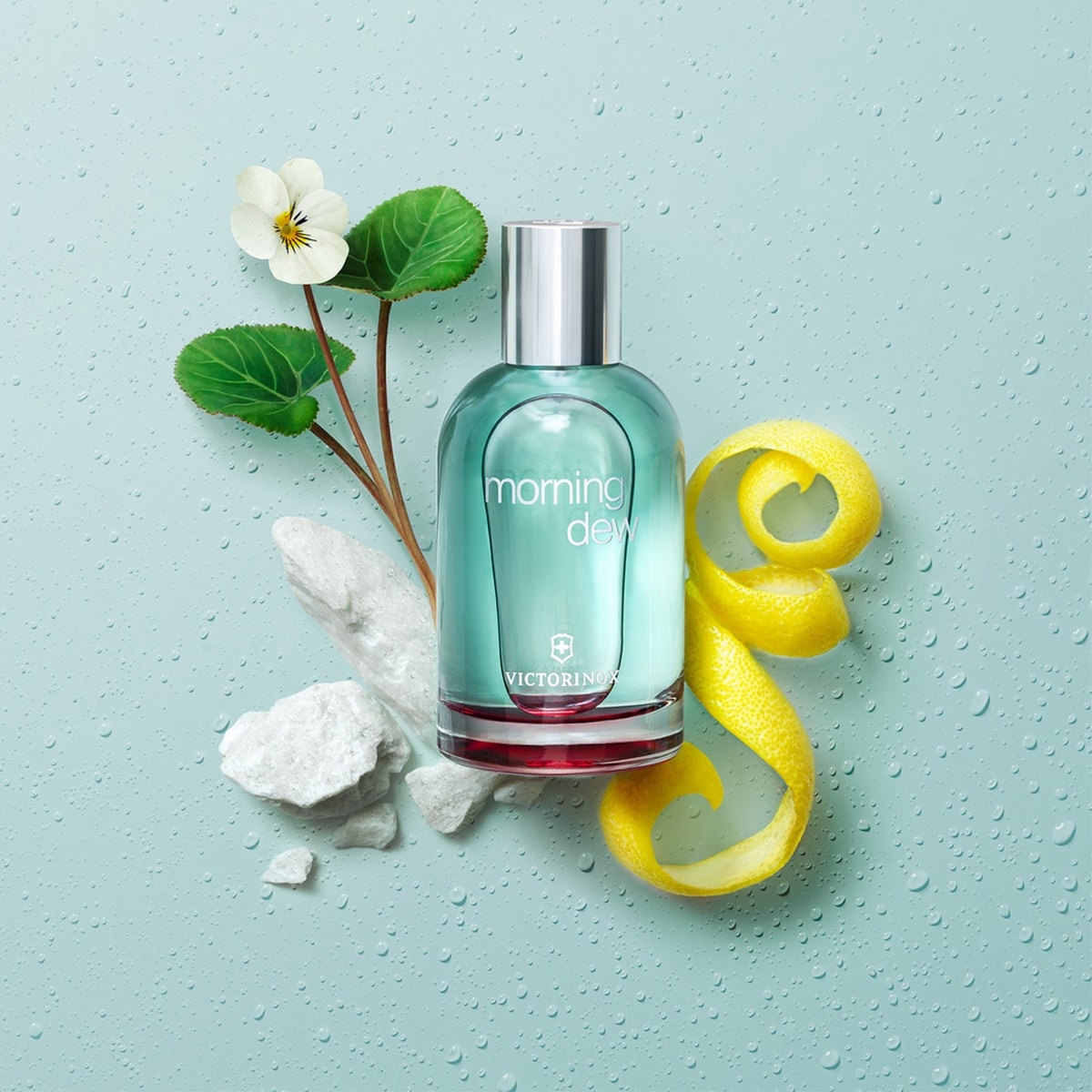 Victorinox shop morning dew