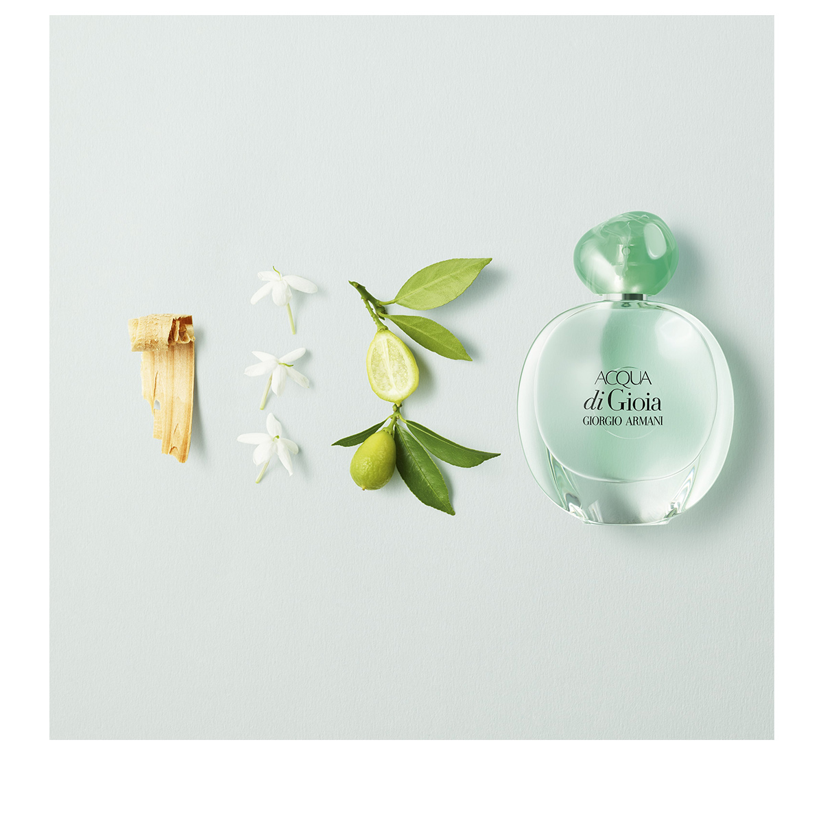 acqua di gioia armani