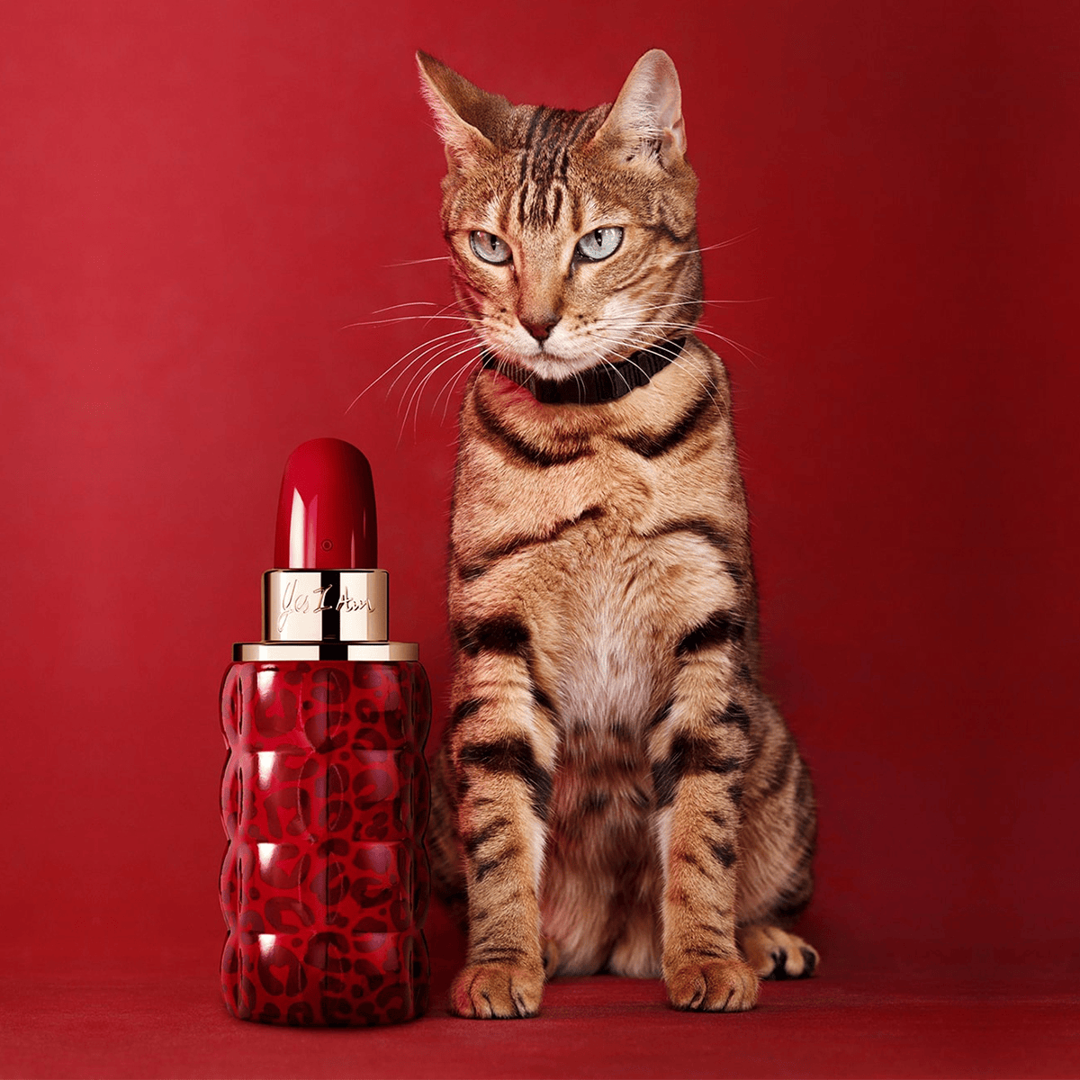 Cacharel Yes I Am Eau de Parfum Collector Edition haar shop.ch