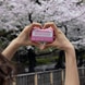 Bar Soap - Cherry Blossom