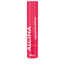 Molding Spray Aerosol
