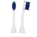 CHS 300 Replacement Brushes power - 2 pcs.