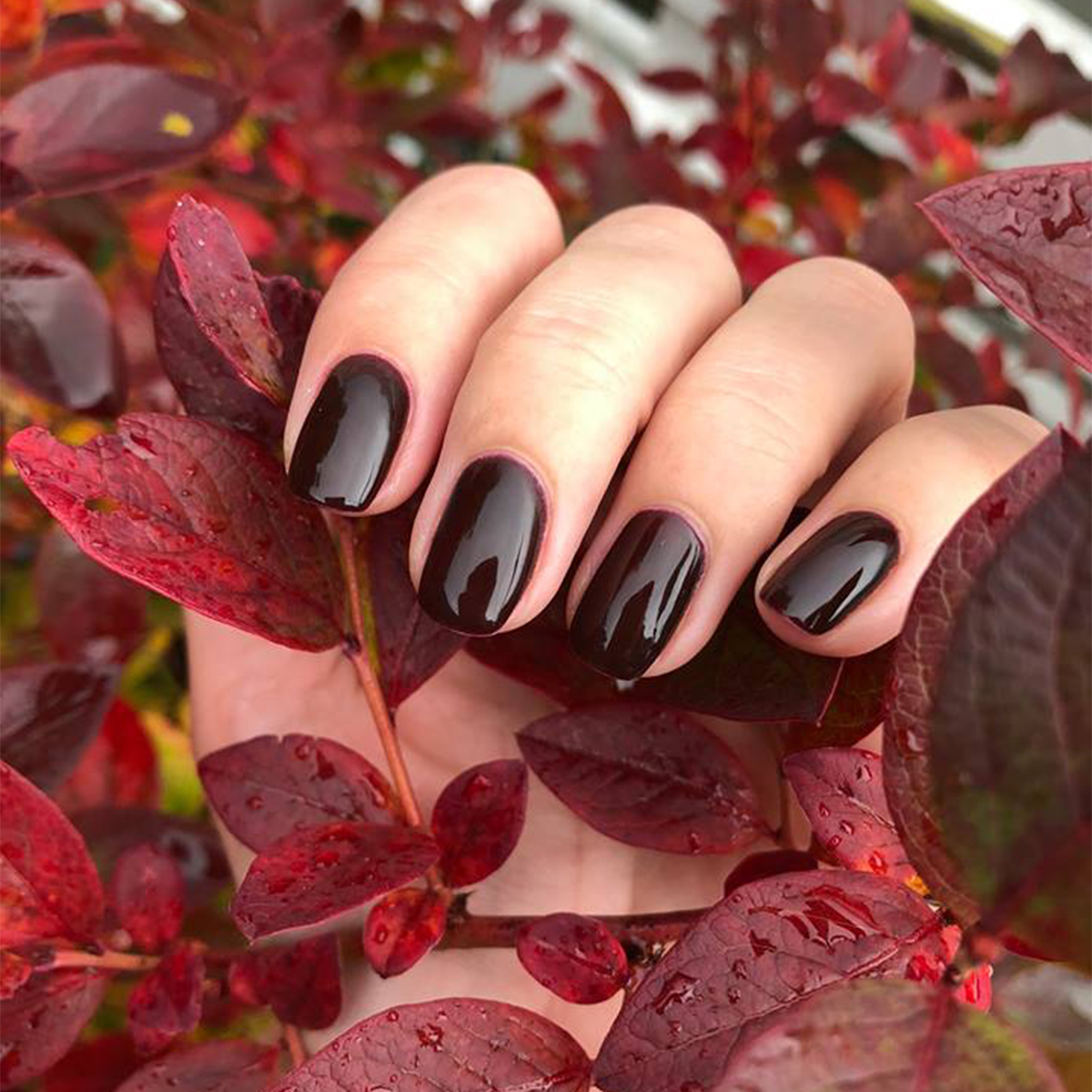 CND • Black Cherry •