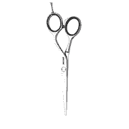 CJ4 Plus 5.5 Hair Scissors