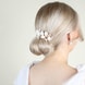 Hair Comb With White Flowers