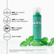 Shampoo Sec Teinté avec BIO-ortie