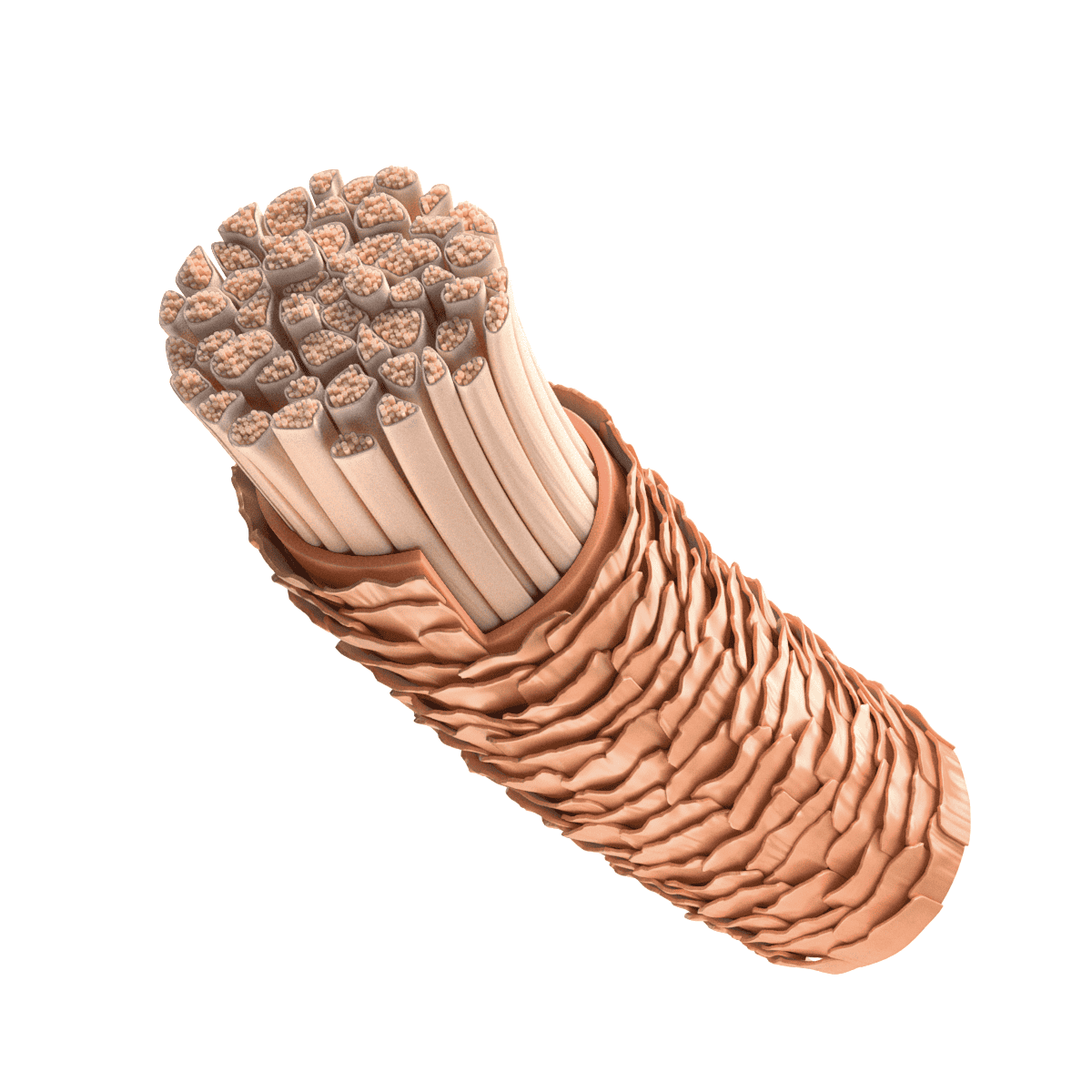 Moisture Kick Conditioner