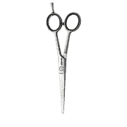 Satin Plus 6.0 Hair Scissors