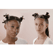 Hair Clips Domestic