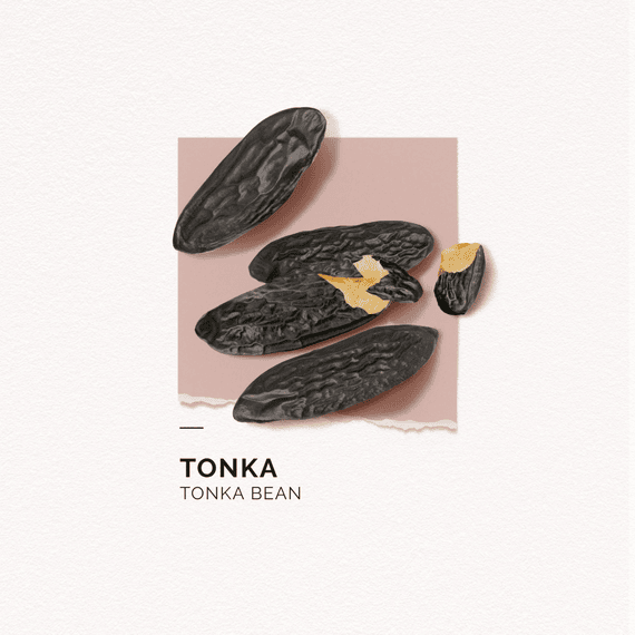 Clean Beauty Hand Cream Tonka