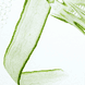 Hydration Hyaluron Shampoo