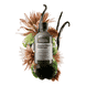 Absolut Repair Molecular Shampoo