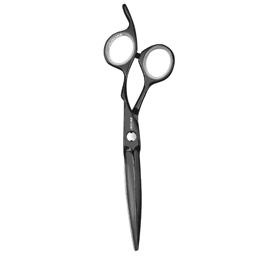 Heron Titan 6.0 Hair Scissors