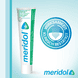 Gum Protection & Fresh Breath Toothpaste