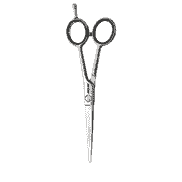 Satin Plus 6.0 Hair Scissors