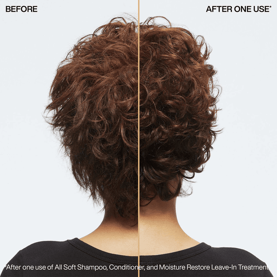 Moisture Restore Leave-in Treatment
