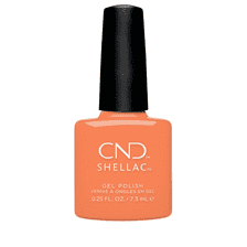 UV Color Coat - Catch Of the Day