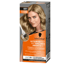 Medium blonde BR1