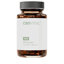 Phytoiron - 60 Capsules