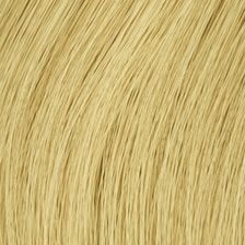 Tape-In Extensions Standard 40 cm - 613