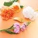 Printemps Leaf Barrette Pour Cheveux