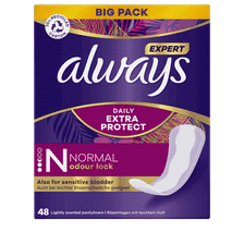 Expert Slipeinlagen Normal Odour Lock Big Pack - 48 Stk.
