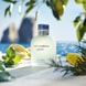 Eau de Toilette