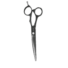 Xenox Titanium 5.5 Forbici per capelli