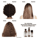 Absolut Repair Molecular Shampoo - Refill