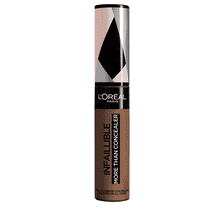 More Than Concealer  340 Chestnut