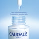 Brightening Dark Spot Serum