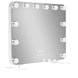 Makeup Mirror with 12 LED Lights & Smartphone Holder