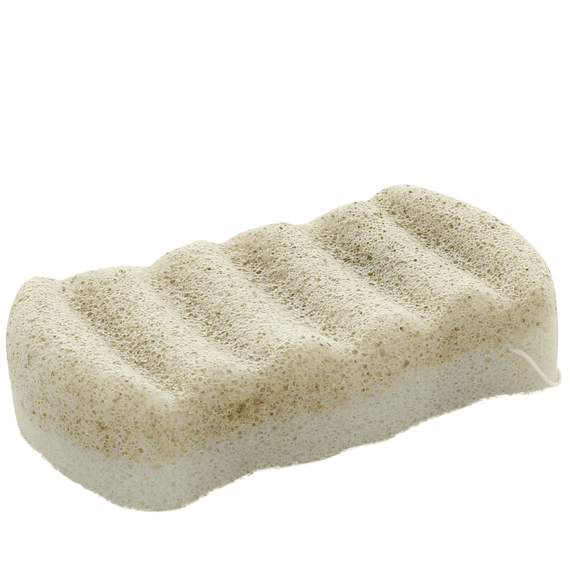 Konjac body sponge with nut extracts