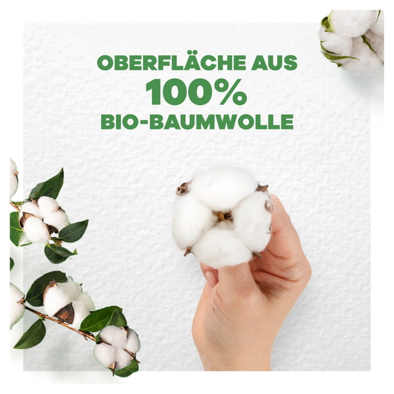 Binden Normal mit Flügeln - 11 Stk.