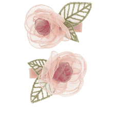 Klaasje Hair Clips