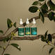 Dry Scalp Serum