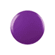 UV Color Coat - Violet Rays