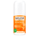 Olivello Spinoso 24h Deo Roll-On