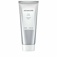 Silver Shampoo
