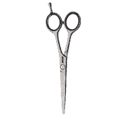 Satin 6.5 Hair Scissors