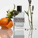 Vibes Of Freedom Eau de Parfum