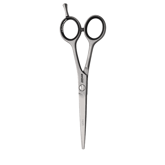 Satin 5.5 Hair Scissors