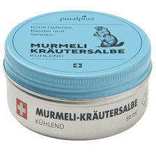 Murmeli Herbal Ointment Cooling