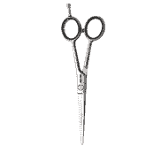 Satin Plus 5.5 Hair Scissors
