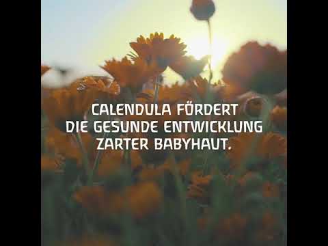 Calendula Gesichtscreme