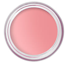 Pot Rouge Velvet Matte Petal Pink